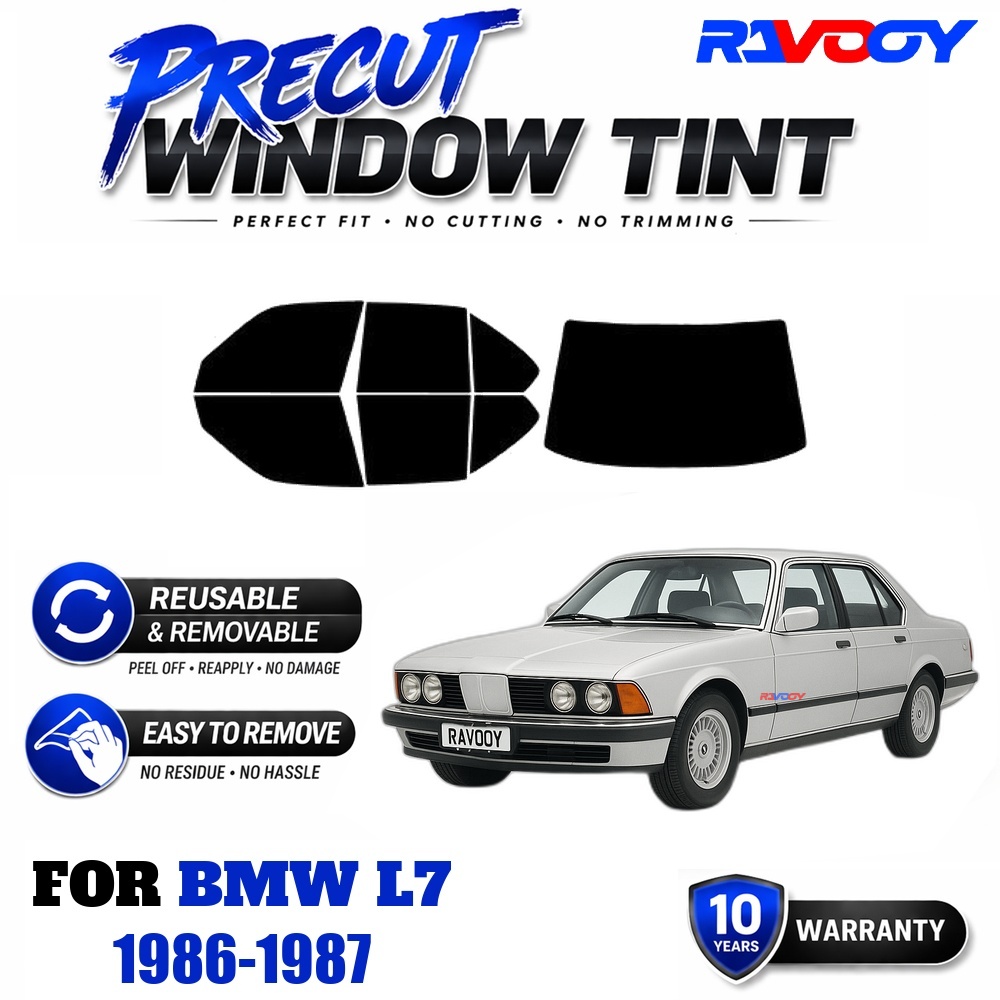 Air Bubble Remover - RAVOOY Precut Window Tint, Reusable Removable